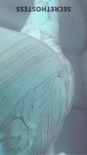 Princess 21Yrs Old Escort Rochester NY Image - 1