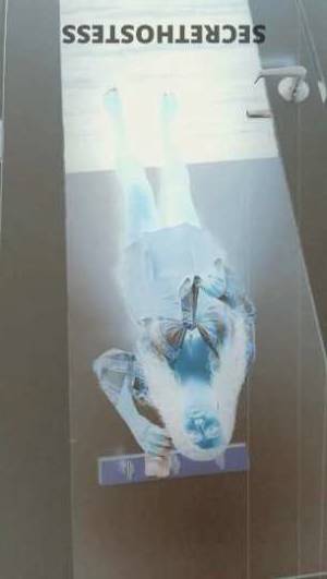 25 year old Escort in Harrisburg PA Sexy Exotic Goddess