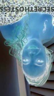 39Yrs Old Escort Gosford Image - 13