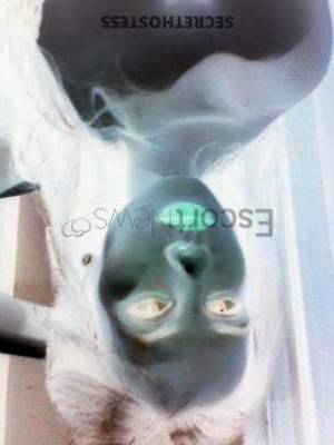 19Yrs Old Escort 50KG 175CM Tall Trieste Image - 1