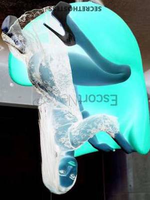 21Yrs Old Escort 53KG 162CM Tall Shanghai Image - 1