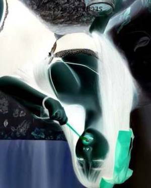 22 year old Asian Escort in San Jose CA Luxury B2B Asian Massage