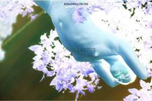 23Yrs Old Escort 58KG 169CM Tall Budapest Image - 1