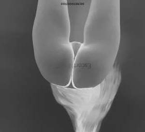 23Yrs Old Escort 50KG 170CM Tall Essen Image - 2