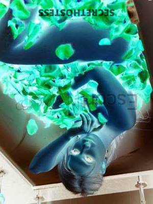 23 year old European Escort in Florence Stunning Alex