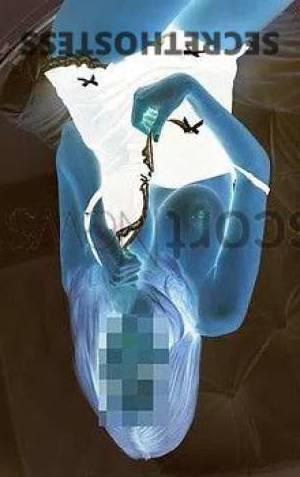 23 year old European Escort in Frankfurt Helena, Independent Beauties