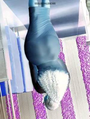 25Yrs Old Escort 185CM Tall Warri Image - 2