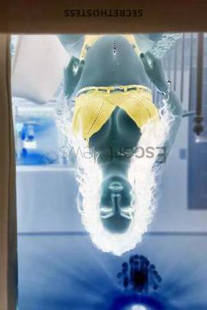 25 year old European Escort in Frankfurt Hottie Pamela