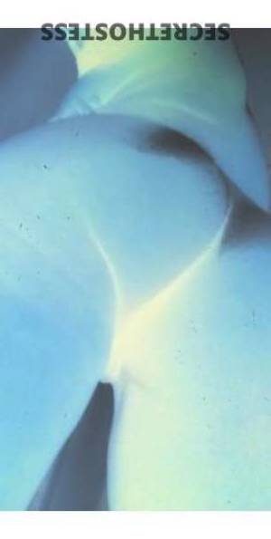 25 year old Hispanic Escort in Columbia SC A Night of Pleasure with Lola Bee Incall Services in West 