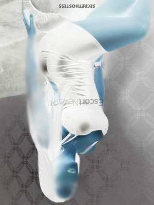 25 year old Latino Escort in Medellin 5 words Luxury Model Agency