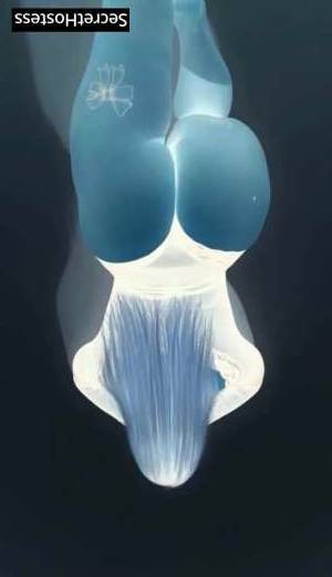 26 year old Escort in Wien Elegant Blonde Escort for Polite Gentlemen