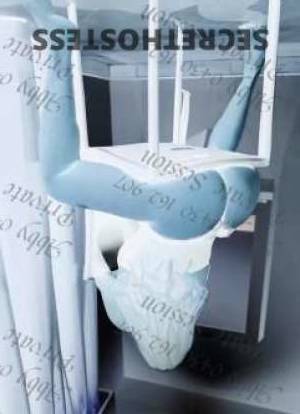 26Yrs Old Escort Warrnambool Image - 3