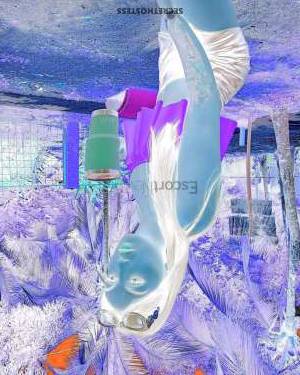 26Yrs Old Escort 75KG 180CM Tall San Jose Image - 2