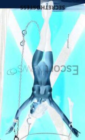 27 year old European Escort in Hamburg Natasha - Agency Star
