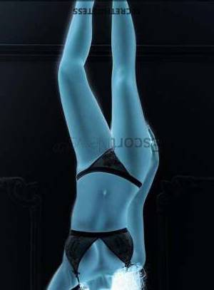 28 year old European Escort in London Layla, Agency Star