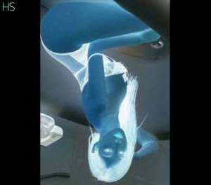 30Yrs Old Escort Size 6 157CM Tall South East Image - 1