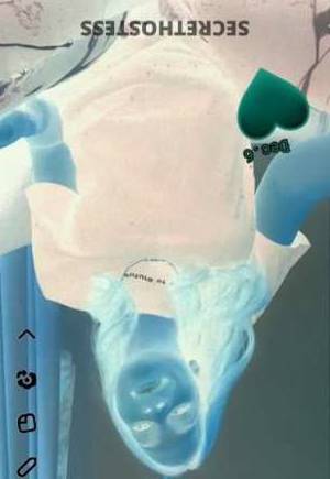 31 year old Latino Escort in Mendocino CA Latin model