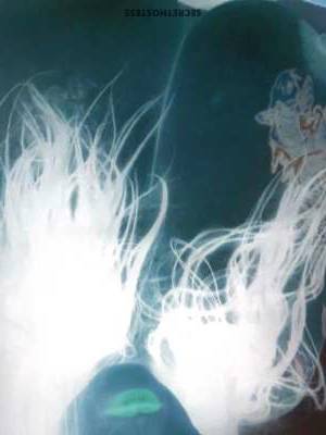 52Yrs Old Escort 170CM Tall Melbourne Image - 1