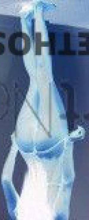 25 year old Australian Escort in Sydney Armani Croft Independent Luxe Model