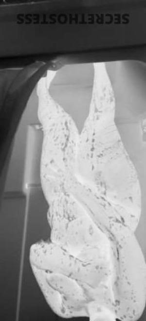 Milaa 25Yrs Old Escort Charlottesville VA Image - 2