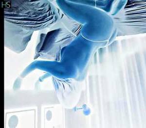 Natasha 26Yrs Old Escort Dublin Image - 2