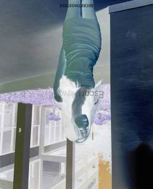 20 year old Asian Escort in Kuala Lumpur Nicole Agency Beauty