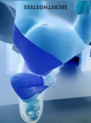 Nina 22Yrs Old Escort Southern Maryland DC Image - 1