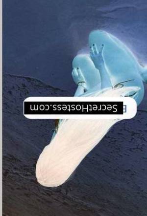 Rafaela Hoffmann 22Yrs Old Escort 67KG 170CM Tall independent escort girl in: Rio de Janeiro Image - 1