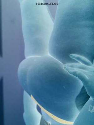 24 year old Escort in Brisbane Sweet anon fun