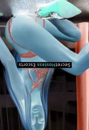 35 year old Hungarian Escort in Frankfurt am Main Seeking Sweet and Sexy Companion for Night Out