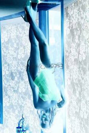 28 year old European Escort in Vienna Valeria Hot Independent