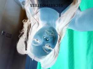 22Yrs Old Escort 160CM Tall Brooklyn NY Image - 2