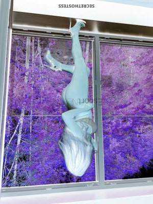 22 year old European Escort in Vienna Kristina Agency Model