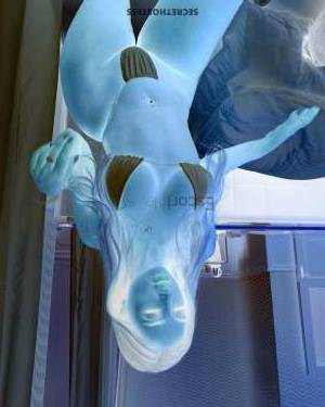 23Yrs Old Escort 62KG 175CM Tall Brussels Image - 3