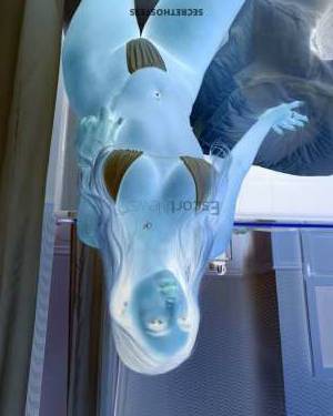 23Yrs Old Escort 62KG 175CM Tall Brussels Image - 4