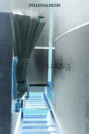 23Yrs Old Escort 51KG 170CM Tall Milan Image - 1