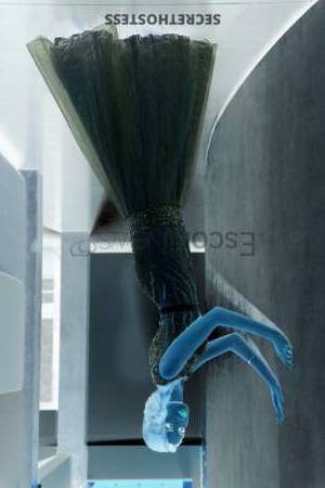 23Yrs Old Escort 51KG 170CM Tall Milan Image - 3