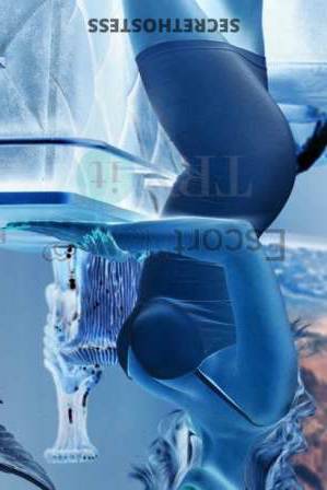 25 year old European Escort in Linz Hottie Sophia