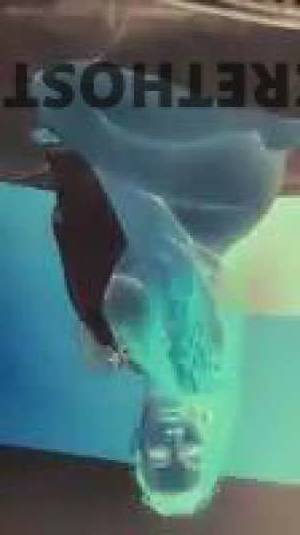 25Yrs Old Escort Wilmington DE Image - 1