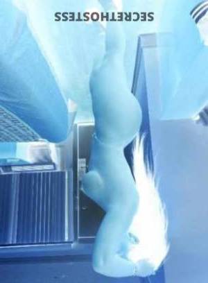25 year old Latino Escort in Albany NY Latina newbie babe