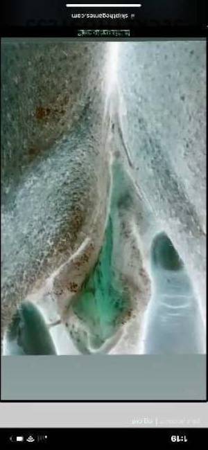 ❲ Adults only Beautiful women available " 30 year old Escort in Minot ND