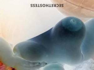 37Yrs Old Escort Miami FL Image - 2
