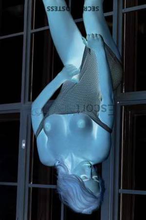 23 year old European Escort in Verona Alena Agency Beauty