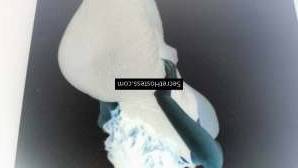 Dina 31Yrs Old Escort 56KG 169CM Tall Casablanca Image - 1
