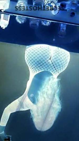 Vannessa 26Yrs Old Escort Biloxi MS Image - 8
