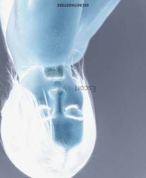 25 year old European Escort in Warsaw Sofia, Modern Companion