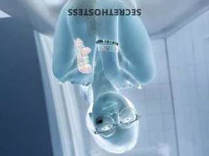 25 year old Latino Escort in Hilton Head Island SC Let's go