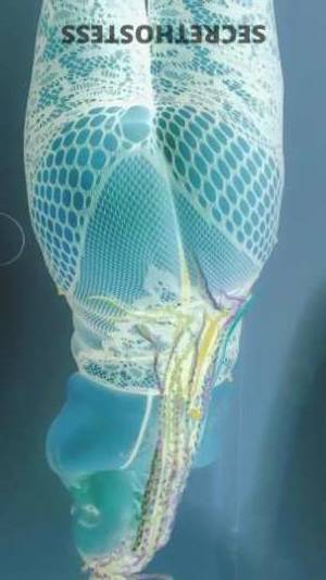 26Yrs Old Escort Lexington KY Image - 2