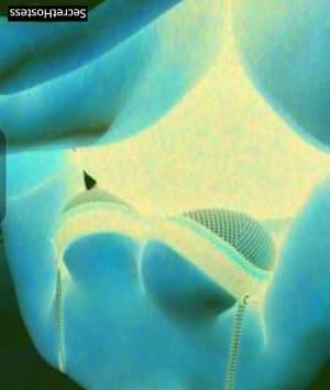 26 year old South African Escort in Dammam Experience Delightful Moments with Tatiana, Your Elite South