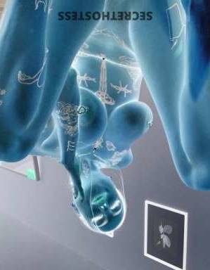 28Yrs Old Escort Akron OH Image - 2